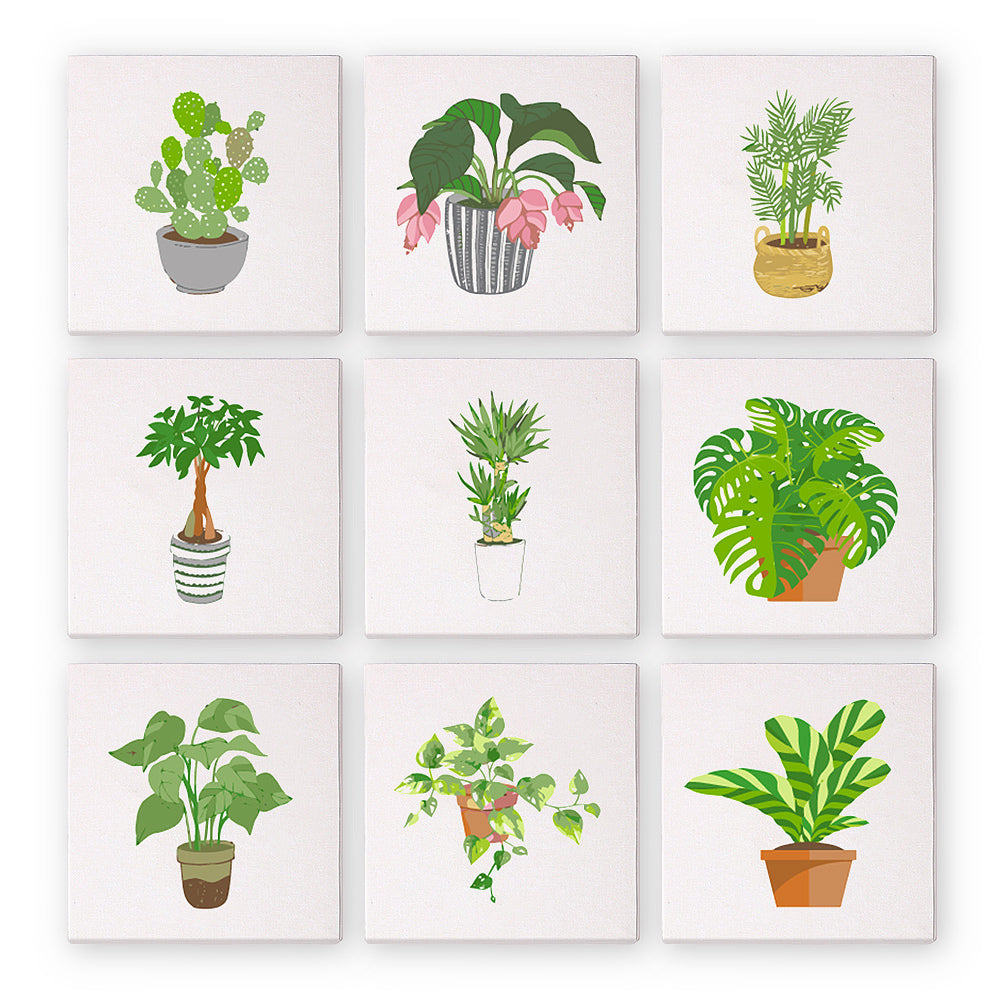 9 Mini Tableaux – Ensemble de Plantes d'intérieur | Peinture par Numéros