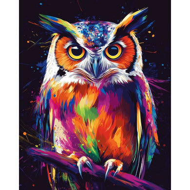 Abstract colorful owl  | Paint by Numbers