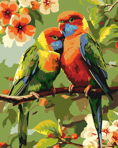 2 Oiseaux Colorés | Peinture par Numéros