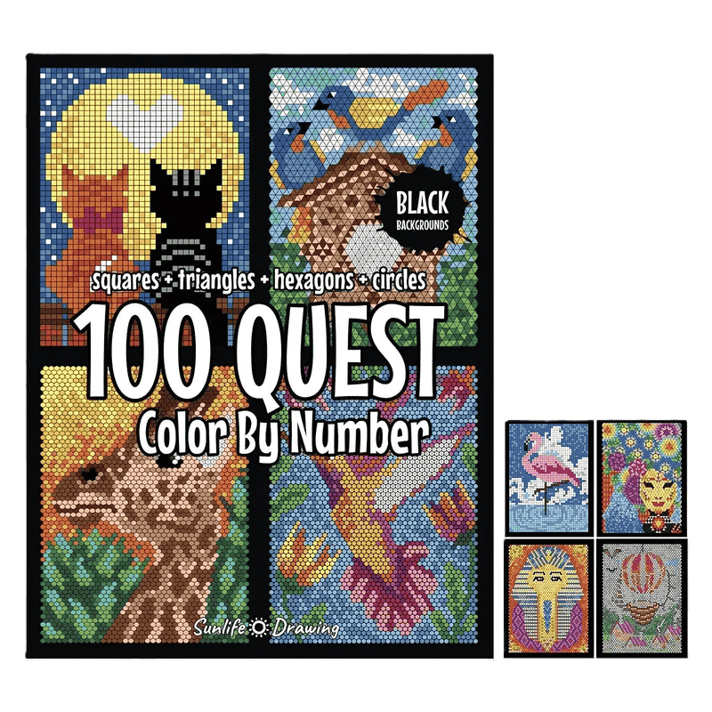 Paint by numbers   Color by Number Book with 48 markers
